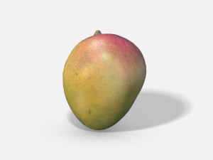 exotic fruit mango - photoscanned pbr 3D Model
