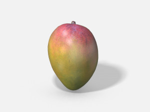 exotic fruit mango - photoscanned pbr 3D Model