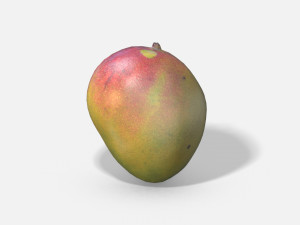 exotic fruit mango - photoscanned pbr 3D Model
