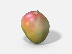 exotic fruit mango - photoscanned pbr 3D Model