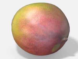 exotic fruit mango - photoscanned pbr 3D Model