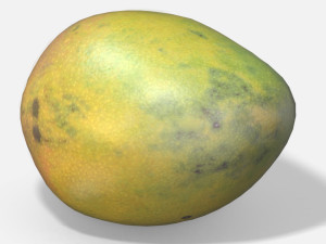 exotic fruit mango - photoscanned pbr 3D Model