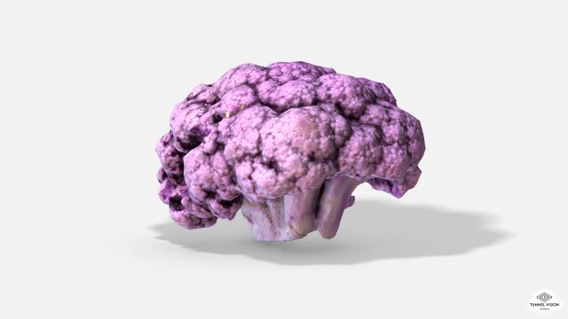 vegetable purple cauliflower - photoscanned pbr 3Dモデル .c4d .max .obj .3ds .fbx .stl .blend 