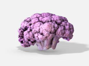vegetable purple cauliflower - photoscanned pbr 3D 모델