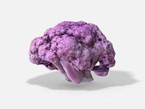 vegetable purple cauliflower - photoscanned pbr 3Dモデル