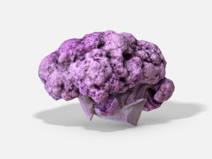 vegetable purple cauliflower - photoscanned pbr 3Dモデル