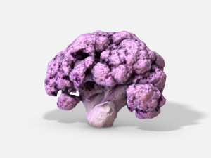 vegetable purple cauliflower - photoscanned pbr 3Dモデル