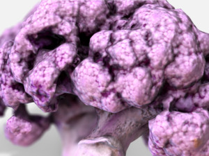 vegetable purple cauliflower - photoscanned pbr 3Dモデル