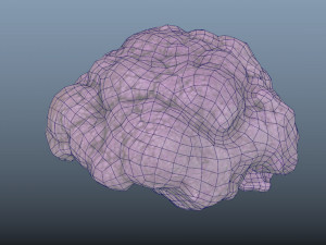 vegetable purple cauliflower - photoscanned pbr 3Dモデル