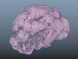 vegetable purple cauliflower - photoscanned pbr 3Dモデル