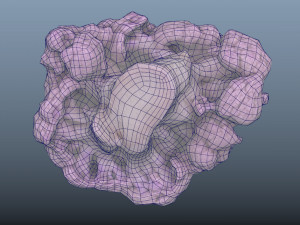 vegetable purple cauliflower - photoscanned pbr 3Dモデル