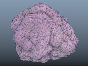 vegetable purple cauliflower - photoscanned pbr 3Dモデル