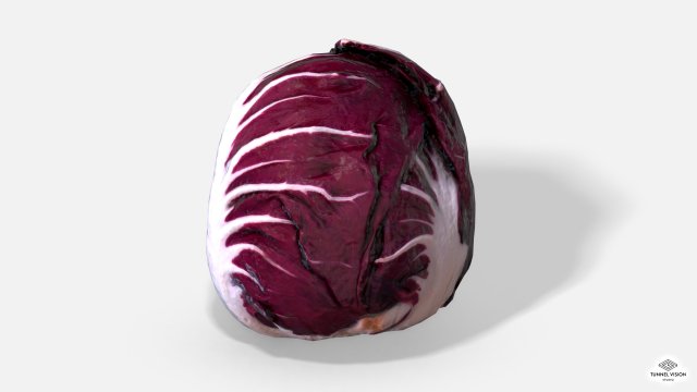 vegetable red chicory - photoscanned pbr 3Dモデル .c4d .max .obj .3ds .fbx .stl .blend 