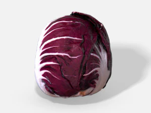 chicor&eacute;e rouge v&eacute;g&eacute;tale - photoscanned pbr Modèle 3D