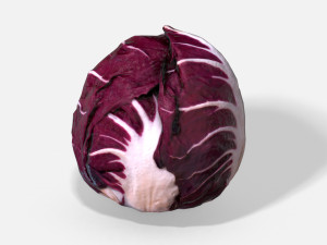 vegetable red chicory - photoscanned pbr 3Dモデル
