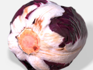 vegetable red chicory - photoscanned pbr 3Dモデル