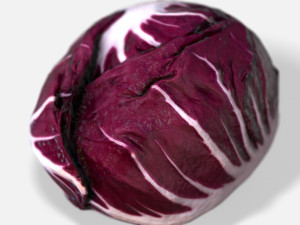 vegetable red chicory - photoscanned pbr 3Dモデル