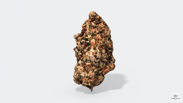 marijuana bud 2 - photoscanned pbr 3D मॉडल .c4d .max .obj .3ds .fbx .stl .blend 