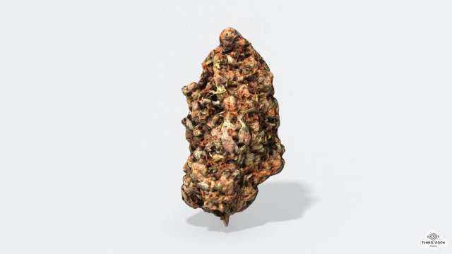 marijuana bud 2 - photoscanned pbr 3D Model .c4d .max .obj .3ds .fbx .stl .blend