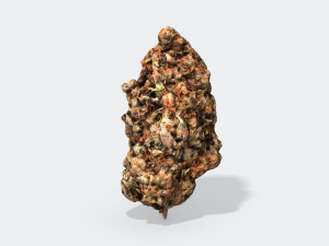 marijuana bud 2 - photoscanned pbr 3D 모델