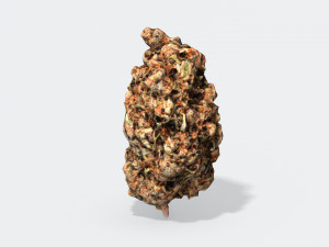 marijuana bud 2 - photoscanned pbr 3D मॉडल