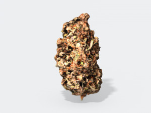 marijuana bud 2 - photoscanned pbr 3D मॉडल