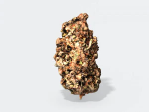 marijuana bud 2 - photoscanned pbr 3D Model