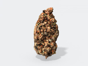 marijuana bud 2 - photoscanned pbr 3D मॉडल