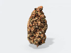 marijuana bud 2 - photoscanned pbr 3D Model