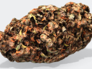 marijuana bud 2 - photoscanned pbr 3D मॉडल