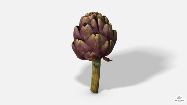 vegetable artichoke - photoscanned pbr Modèle 3D .c4d .max .obj .3ds .fbx .stl .blend 