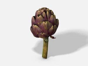 овочевий артишок - фотоскановані пбр 3D Модель