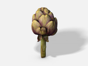 vegetable artichoke - photoscanned pbr Modèle 3D