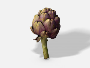 vegetable artichoke - photoscanned pbr Modèle 3D