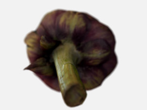 vegetable artichoke - photoscanned pbr Modèle 3D