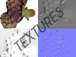 vegetable artichoke - photoscanned pbr Modèle 3D