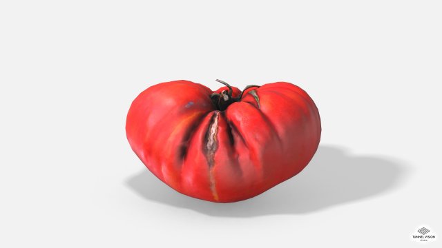 vegetable tomato - photoscanned pbr 3D Модель .c4d .max .obj .3ds .fbx .stl .blend 