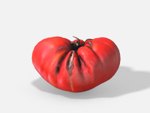 vegetable tomato - photoscanned pbr 3D 모델