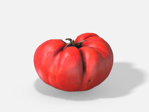 vegetable tomato - photoscanned pbr 3D Модель