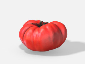 vegetable tomato - photoscanned pbr 3D Модель