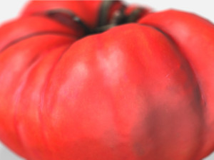 vegetable tomato - photoscanned pbr 3D Модель