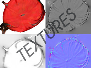 vegetable tomato - photoscanned pbr 3D Модель