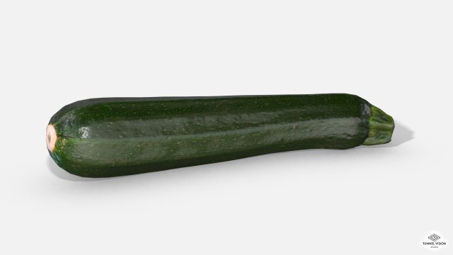 vegetable zucchini - photoscanned pbr Model 3D .c4d .max .obj .3ds .fbx .stl .blend 