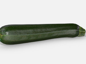 vegetable zucchini - photoscanned pbr 3D 모델