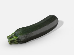 vegetable zucchini - photoscanned pbr Model 3D