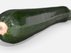 vegetable zucchini - photoscanned pbr Model 3D