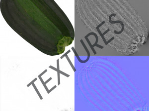 vegetable zucchini - photoscanned pbr Model 3D