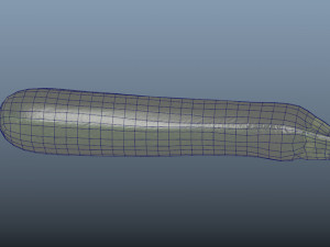 vegetable zucchini - photoscanned pbr Model 3D