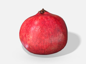 fruit pomegranate - photoscanned pbr 3D 모델