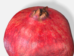 fruit pomegranate - photoscanned pbr 3D Model